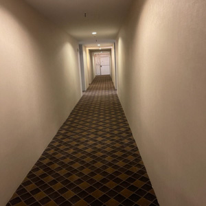 Carpet Installation